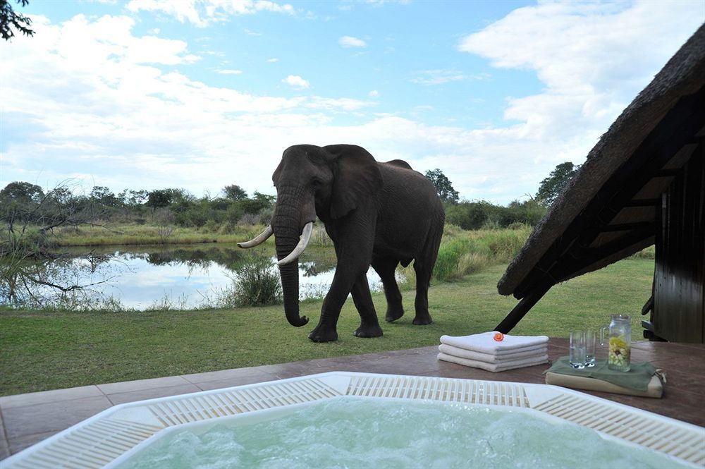 Three Cities Thorntree River Lodge Livingstone Exterior foto